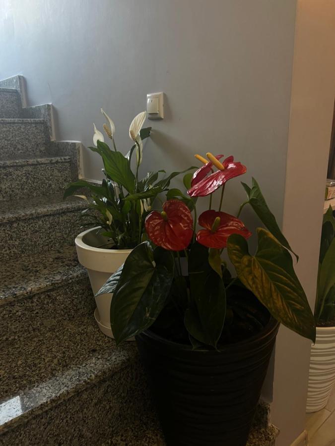 Villa Residence クヴァリアティ エクステリア 写真