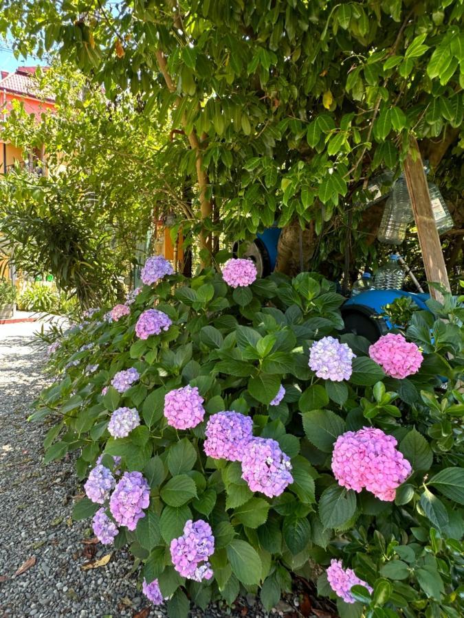 Villa Residence クヴァリアティ エクステリア 写真